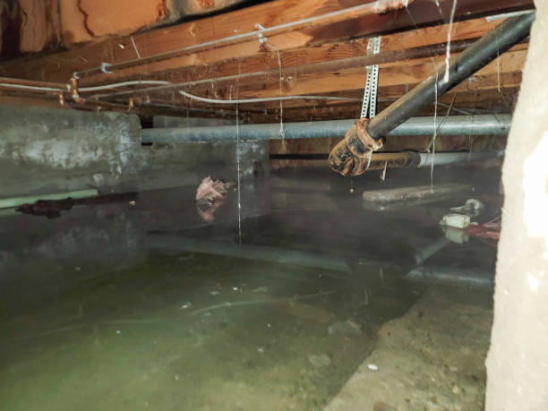 Best Commercial water damage restoration  in Huachuca City, AZ