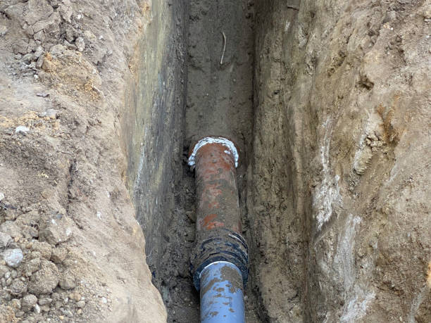 Best Professional water damage repair  in Huachuca City, AZ