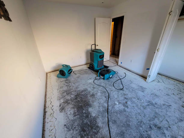 Best Basement water damage restoration  in Huachuca City, AZ