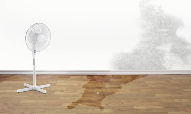 Best Flood restoration services  in Huachuca City, AZ
