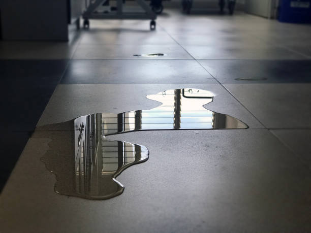 Best Carpet water damage restoration  in Huachuca City, AZ