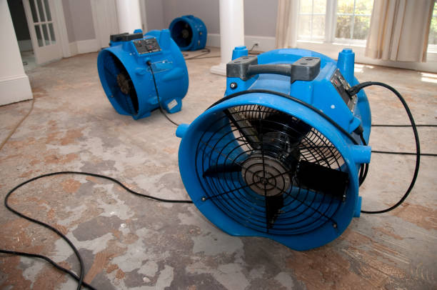 Best Water damage restoration services  in Huachuca City, AZ