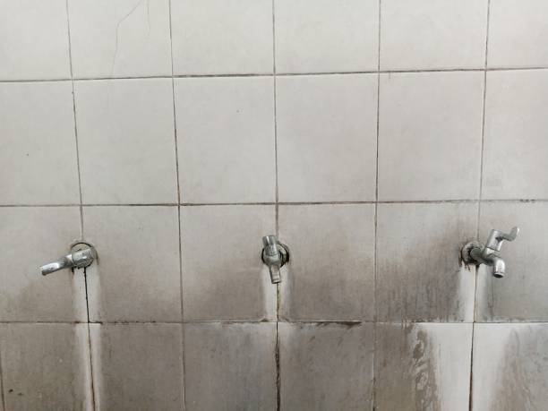 Huachuca City, AZ Water damage restoration Pros