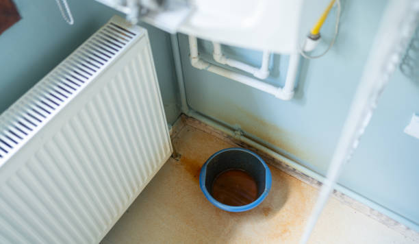 Best Carpet water damage restoration  in Huachuca City, AZ