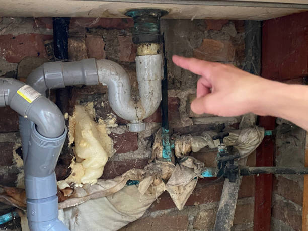 Best Flooded house restoration  in Huachuca City, AZ