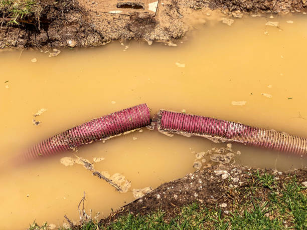 Best 24/7 water damage repair  in Huachuca City, AZ